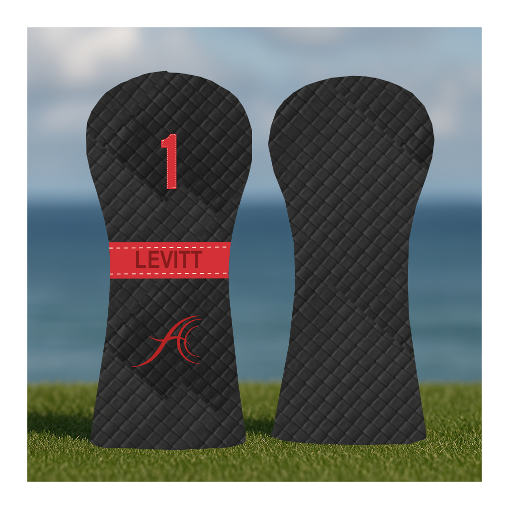 CUSTOMIZE MY ANTHEM DRIVER