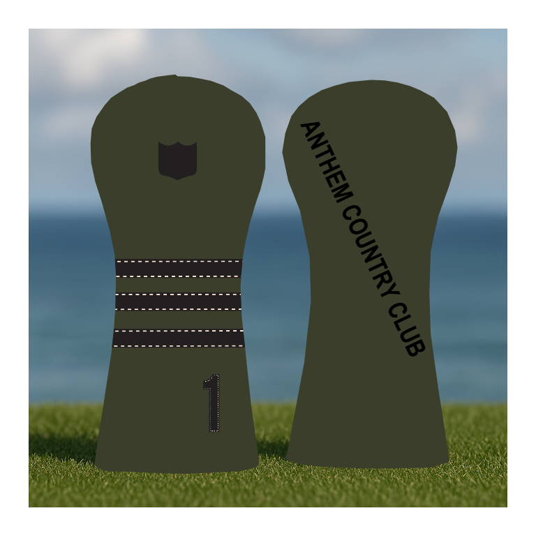 CUSTOMIZE MY ANTHEM DRIVER