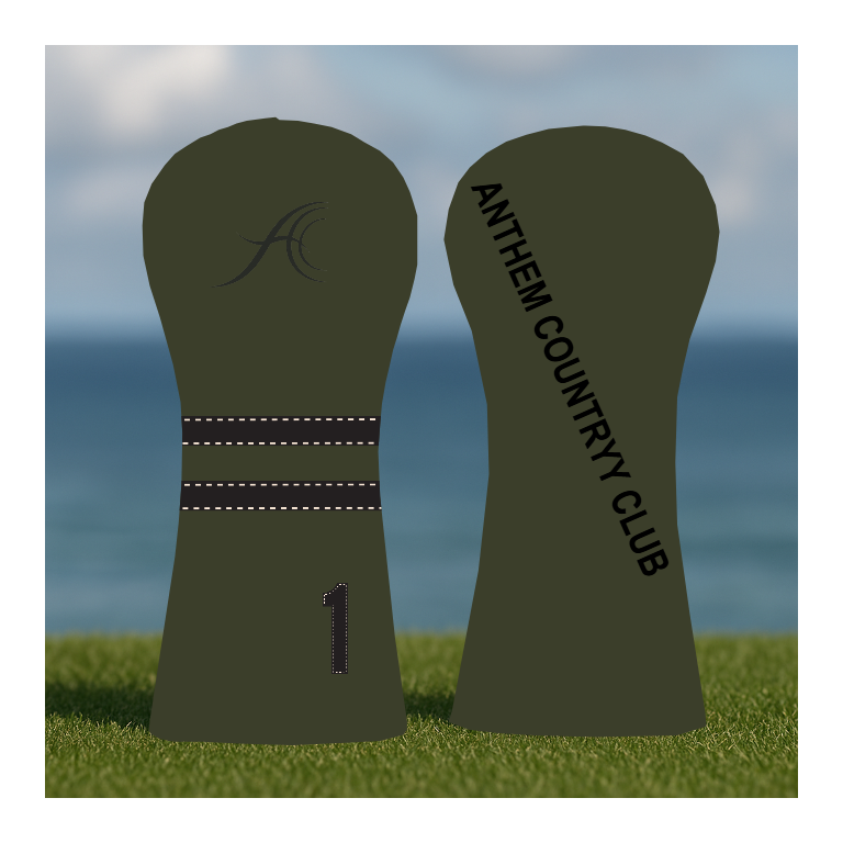 CUSTOMIZE MY ANTHEM DRIVER
