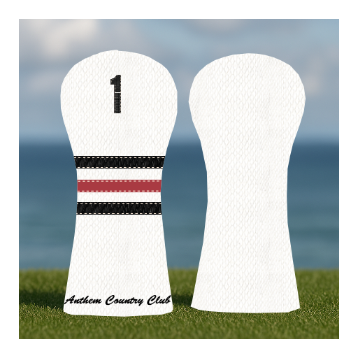 CUSTOMIZE MY ANTHEM DRIVER