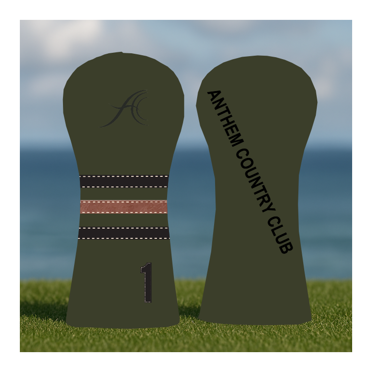 CUSTOMIZE MY ANTHEM DRIVER