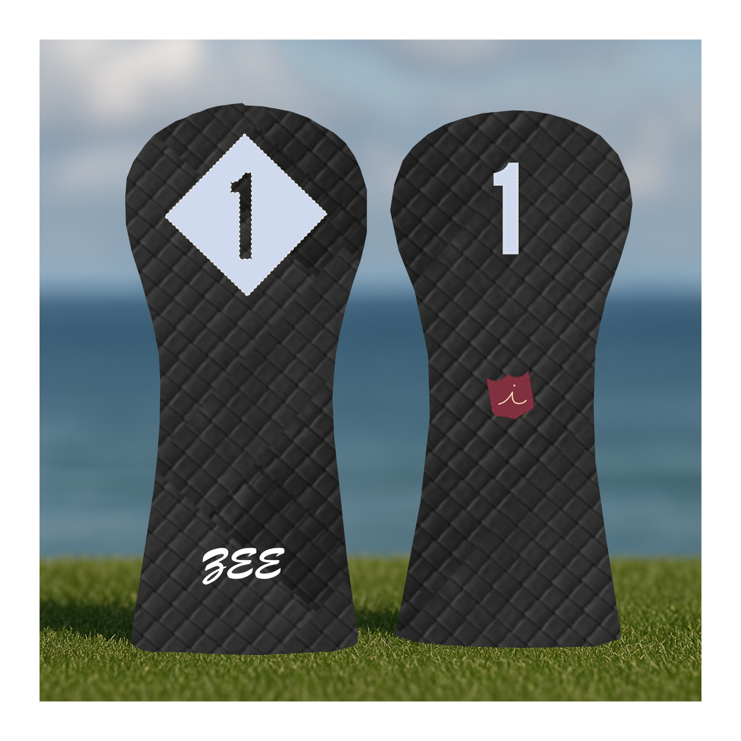 CUSTOMIZE MY DRIVER