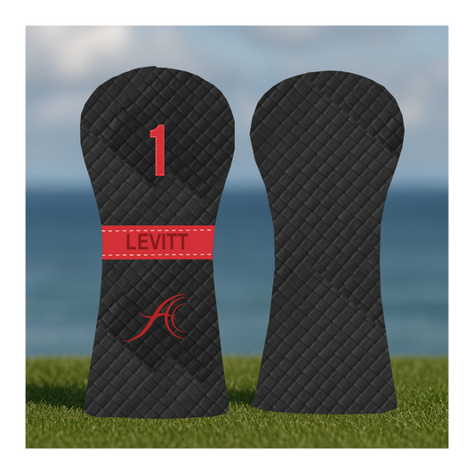 CUSTOMIZE MY ANTHEM DRIVER