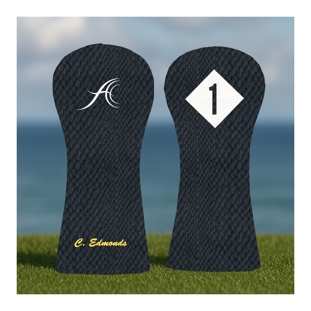 CUSTOMIZE MY ANTHEM DRIVER