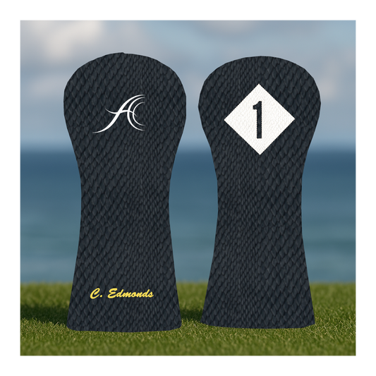 CUSTOMIZE MY ANTHEM DRIVER