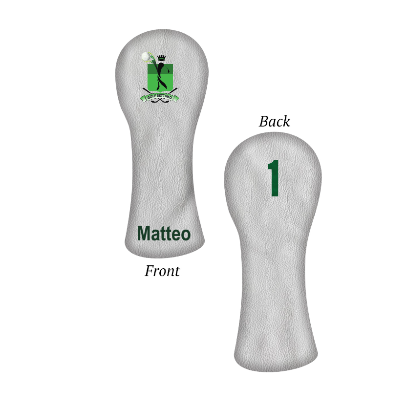 Customize My Driver