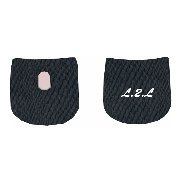 CUSTOMIZE MY LAB OZ1