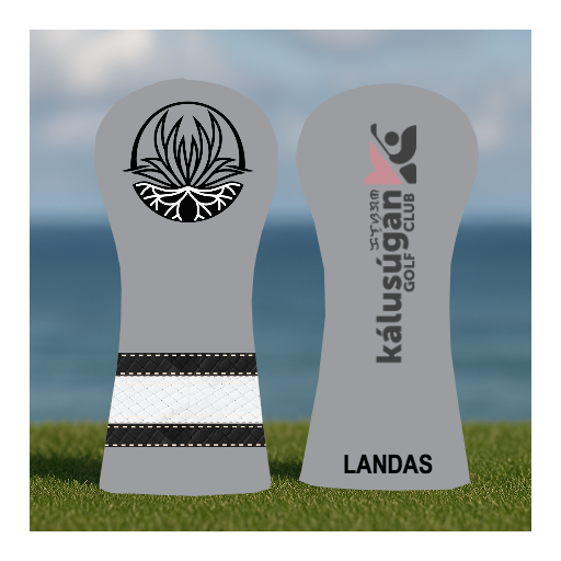 CUSTOMIZE MY DRIVER