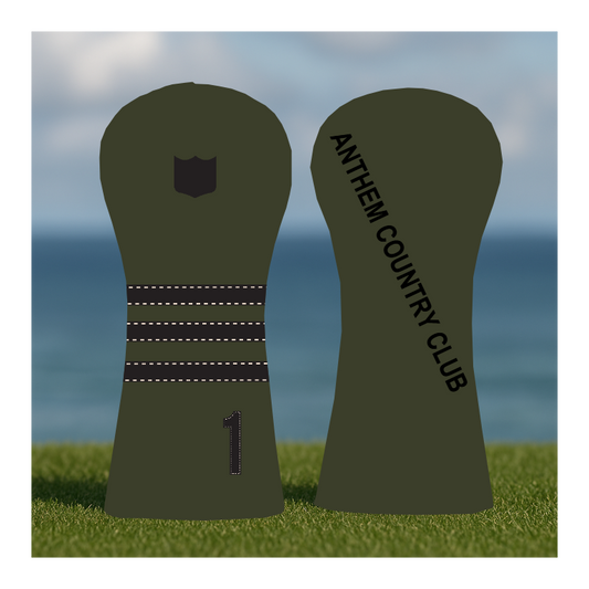 CUSTOMIZE MY ANTHEM DRIVER