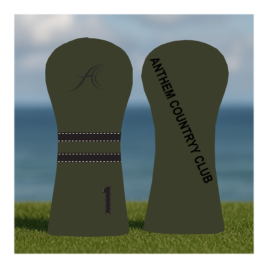 CUSTOMIZE MY ANTHEM DRIVER