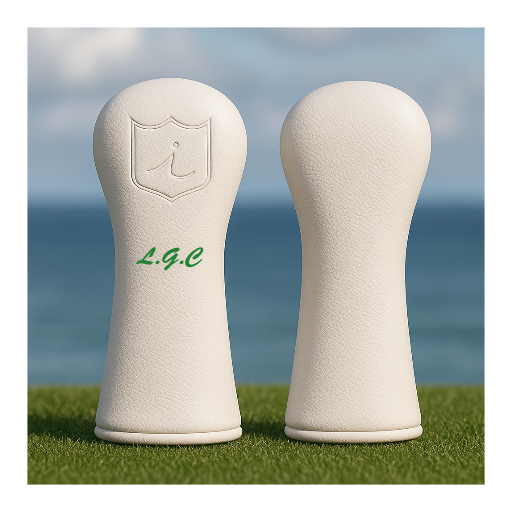 CUSTOMIZE MY DRIVER
