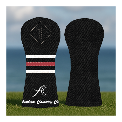 CUSTOMIZE MY ANTHEM DRIVER
