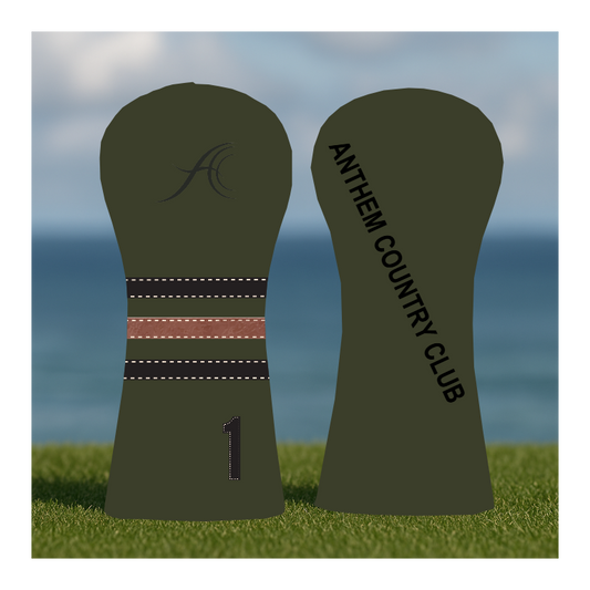 CUSTOMIZE MY ANTHEM DRIVER